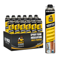 Bigrizy Guard Spray Foam Insulation - Closed Cell Spray Foam | Polyurethane Expanding Sealant