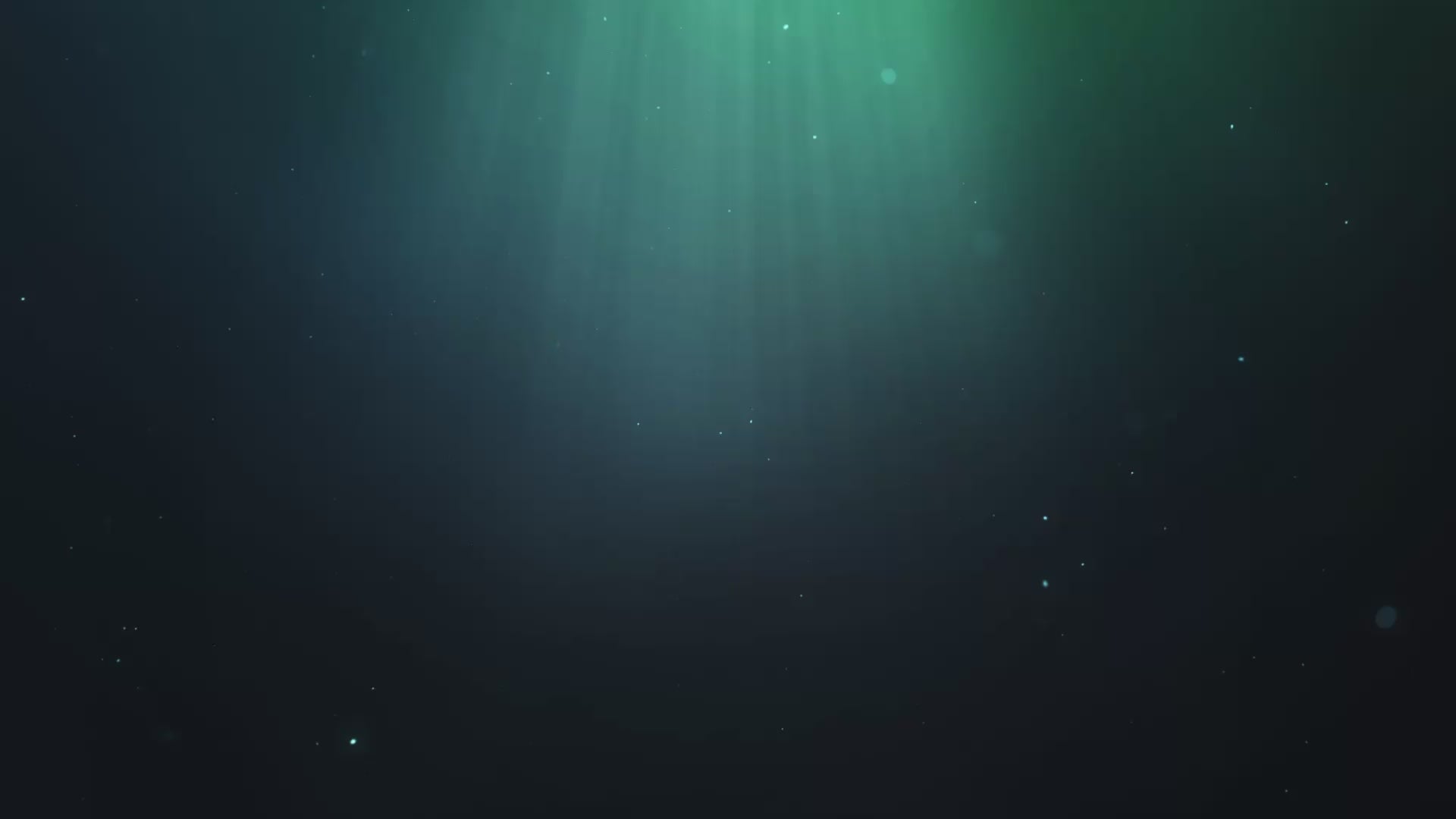 aquarium silicone sealant clear or black