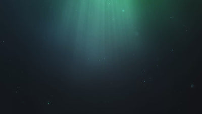 aquarium silicone sealant clear or black